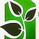 Growing Medicine