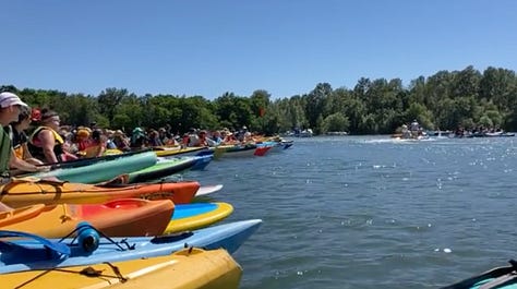 Colorful kayaks in rivers and lakes