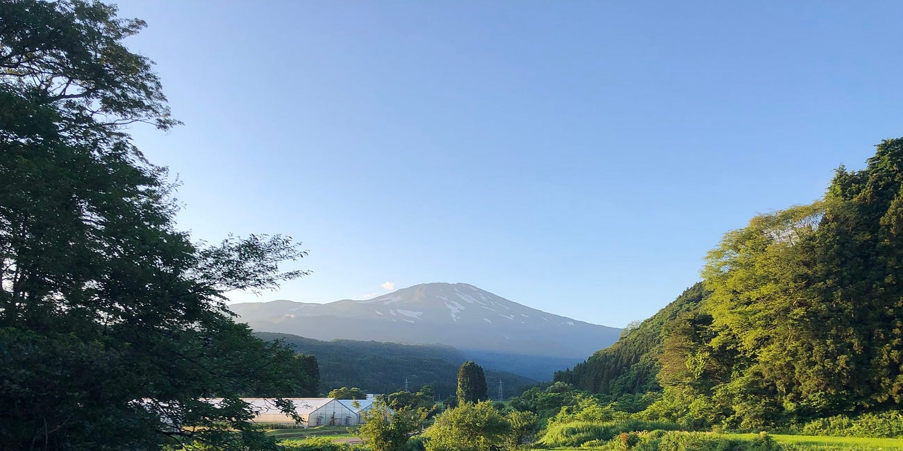 The Land of Salmon and Sake: How Sakata (Sake Rice Field) got its name