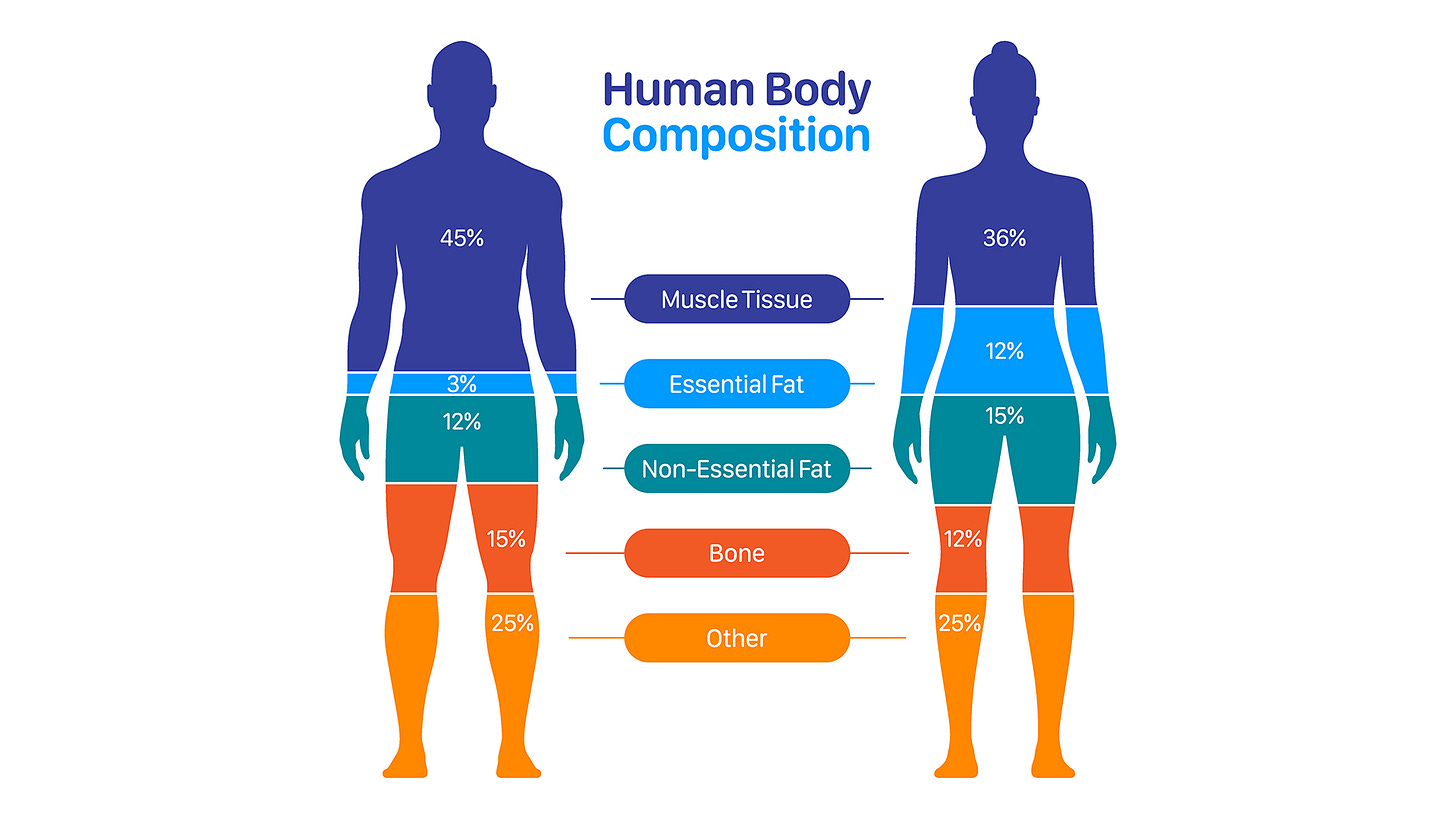 iHealth - Understanding Body Composition: The Intersection of Nutrition and Modern Technology