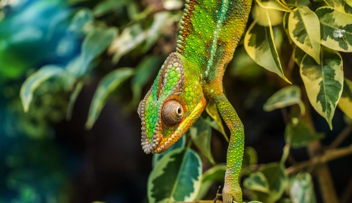 12 Things Everyone Should Know About Animal Behavior