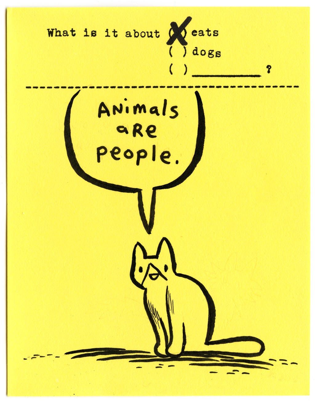 What is it about cats?  Animals are people.