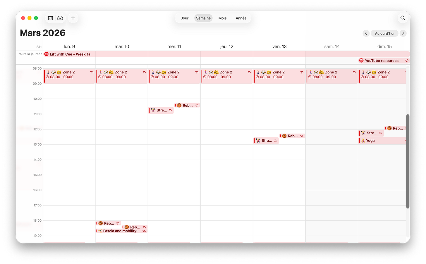 Color-coded Google Calendar weekly workout schedule showing strength training HIIT Zone 2 and mobility blocks for women over 35