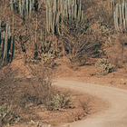 Everything She Never Had // Chapter 7 