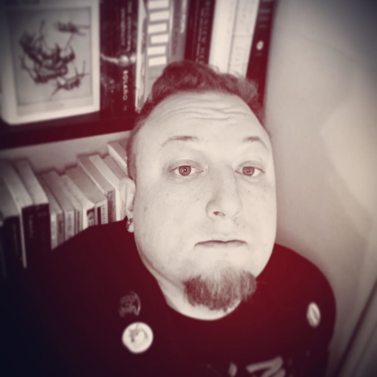 The Transcendental Aesthetic 