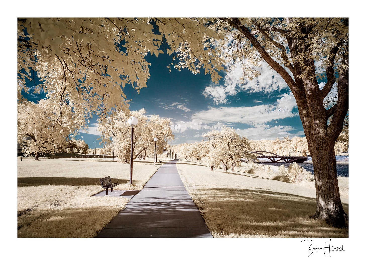A sidewalk next to the Iowa River surrounded by yellow trees under a blue sky.