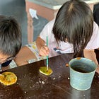 The Natural World | CURRICULUM