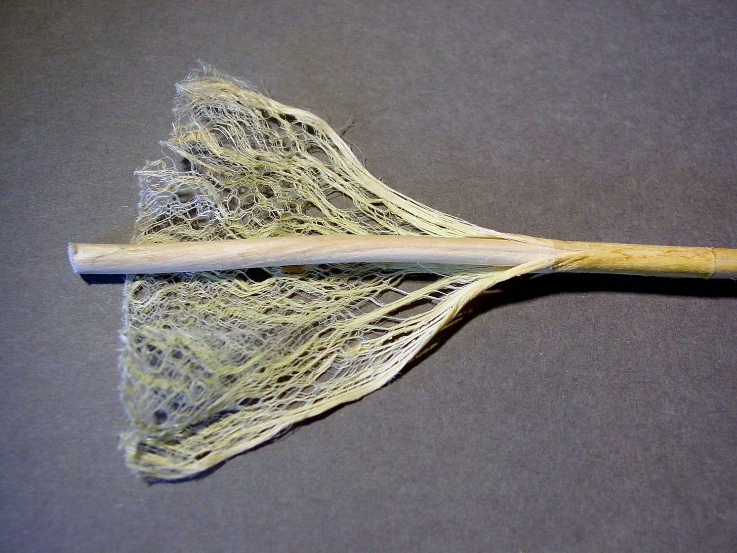 Cannabis fibers