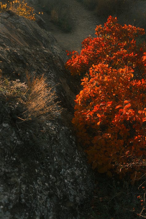 Are this pictures perfect if we do not compare of