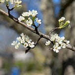 Dispatches From the Basement