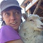 Larissa Phillips's avatar