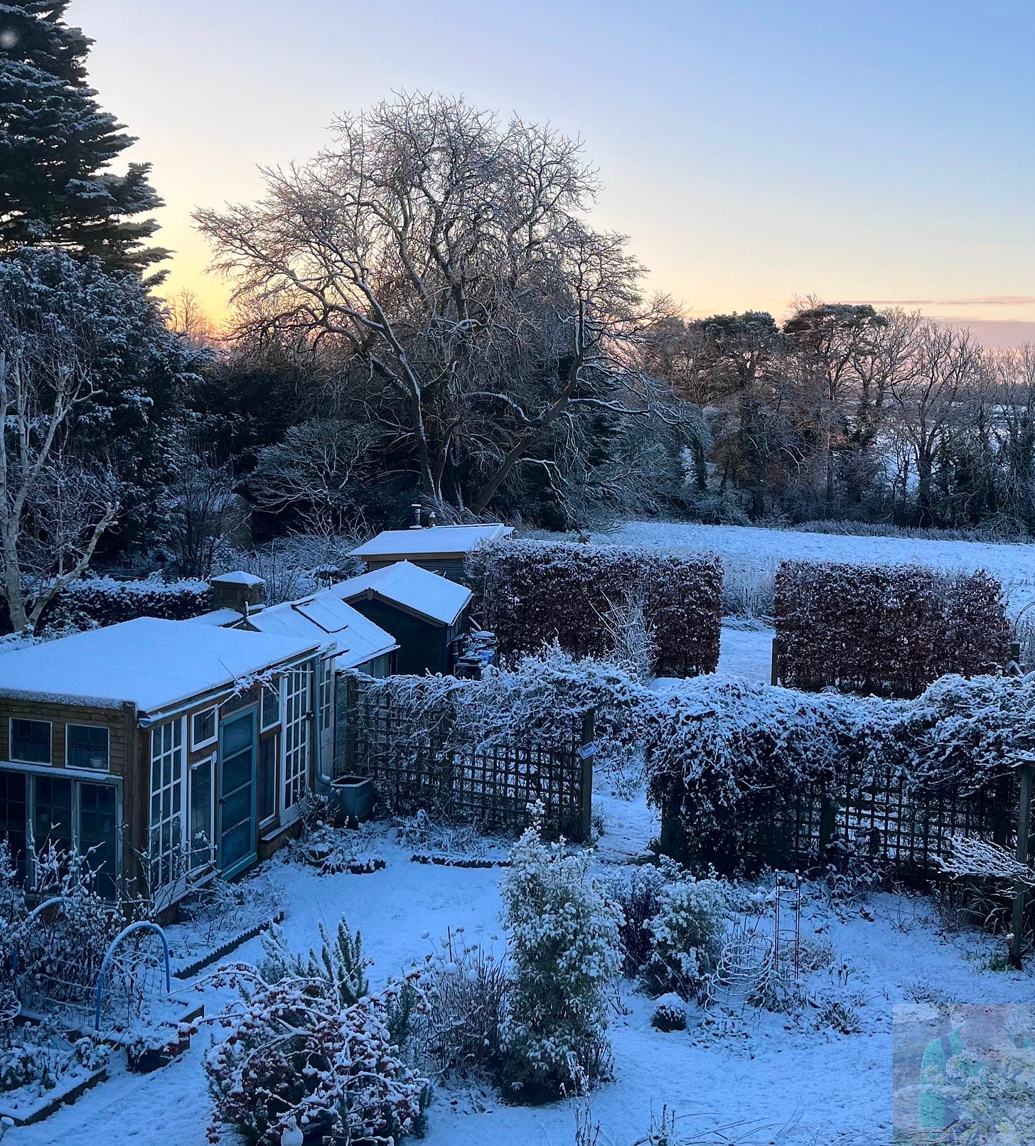 The cutting garden in winter with snow and a blue sky