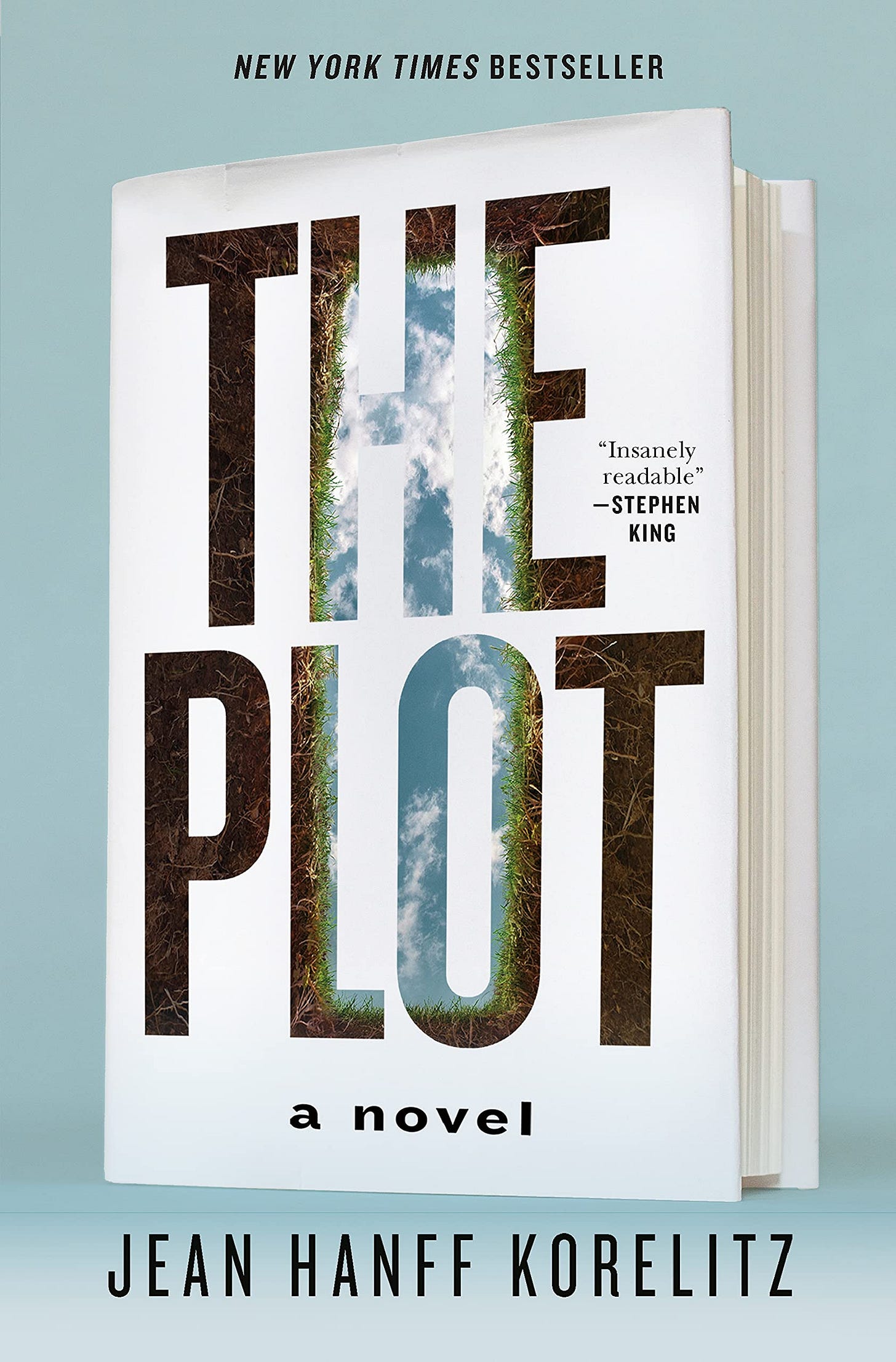 Amazon.com: The Plot: A Novel (The Book Series, 1): 9781250790767: Korelitz,  Jean Hanff: Books