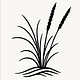 Innovation Ecology