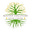 Rooted Discovery's avatar