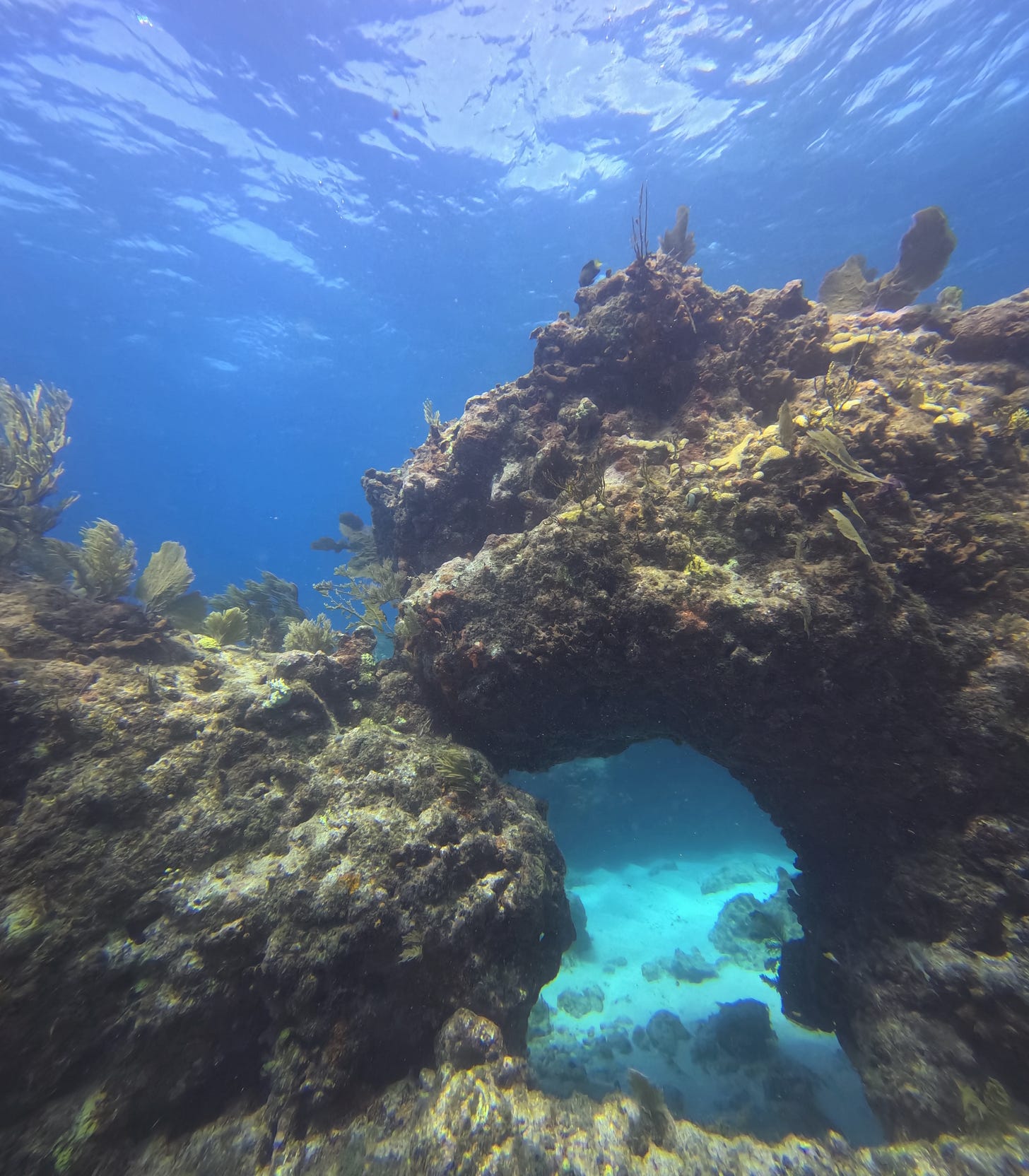 Swim through at Nine Channel