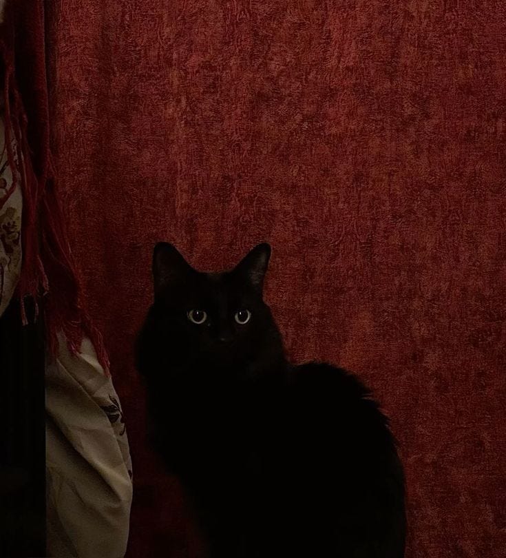 Artwork for Eduda \ud83e\udd8b