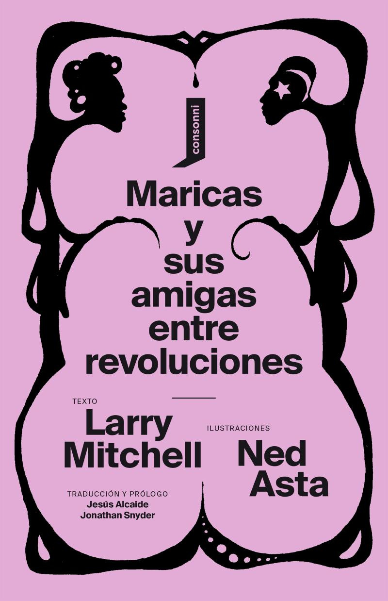Maricas y sus amigas entre revoluciones | consonni
