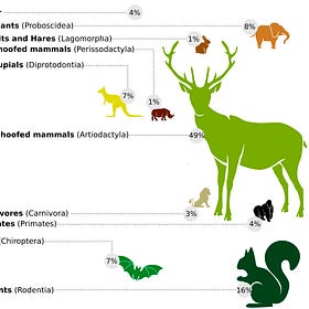 The world according to bats