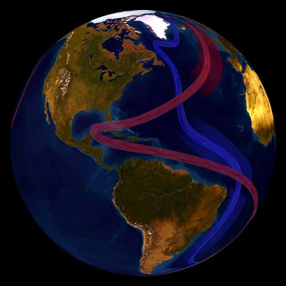 The global conveyor belt, shown here, circulates cool subsurface water and warm surface water throughout the world. The global conveyor belt, shown here, circulates cool subsurface water and warm surface water throughout the world.