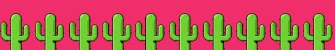254 Cacti Banner Videos