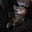Lin's avatar
