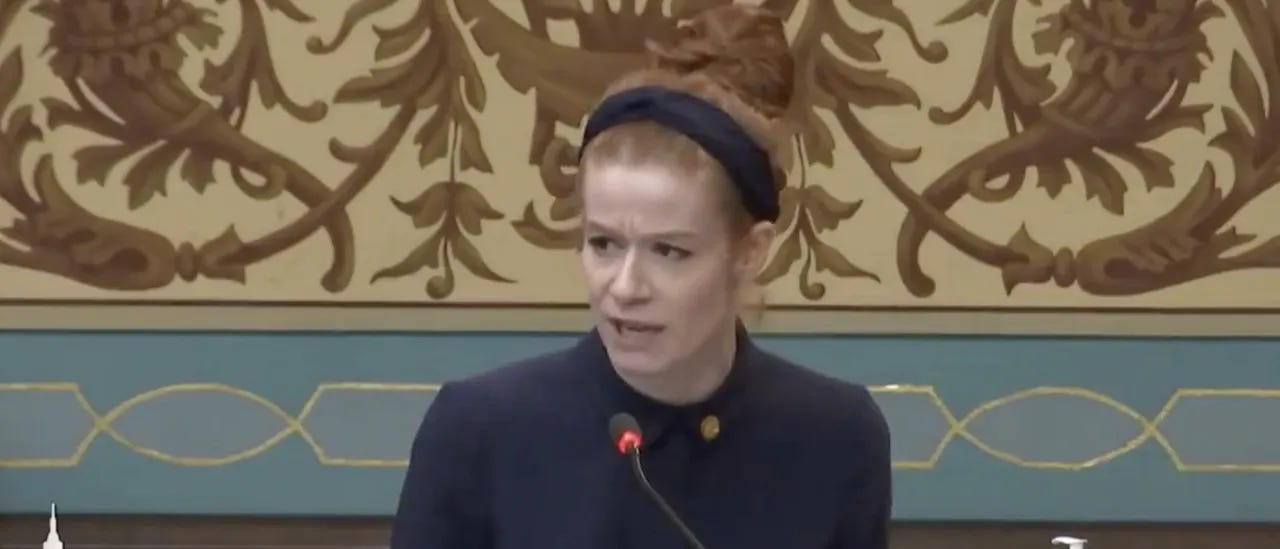 Screenshot/Twitter/Mallory McMorrow