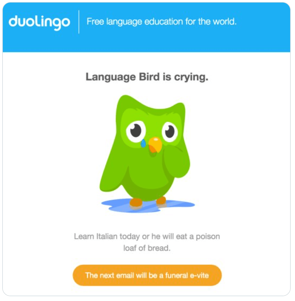 duolingo meme : Second Language Strategies duolingo meme : Second Language Strategies
