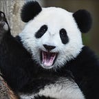 Capital Flows and Asset Markets