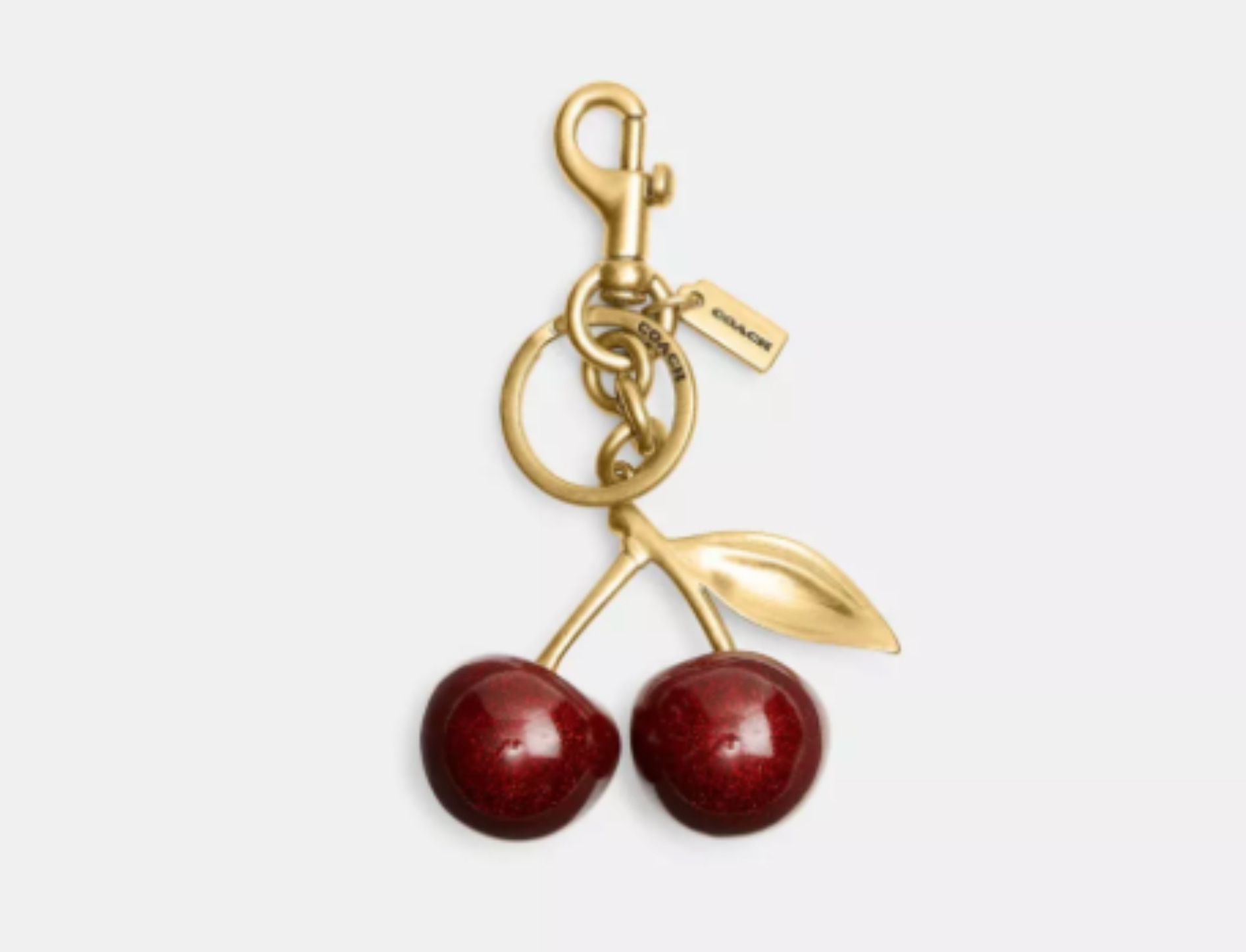 COACH チャーム Picture Frame シグネチャー レッド Coach Red Photo Frame Bag Charm Keychain | eBay