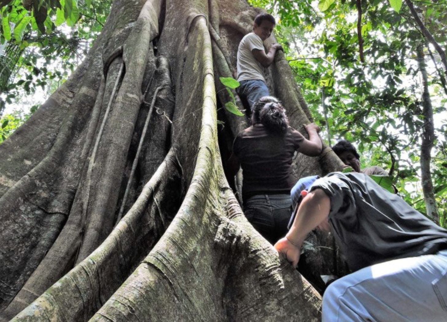 Chalalán Eco-Lodge, Bolivia