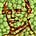 Gregoire Mendel's avatar