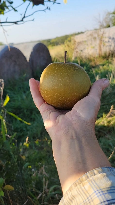 Scenes around the farm this week