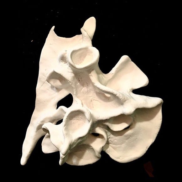 clay sculpture resembling empty pelvis