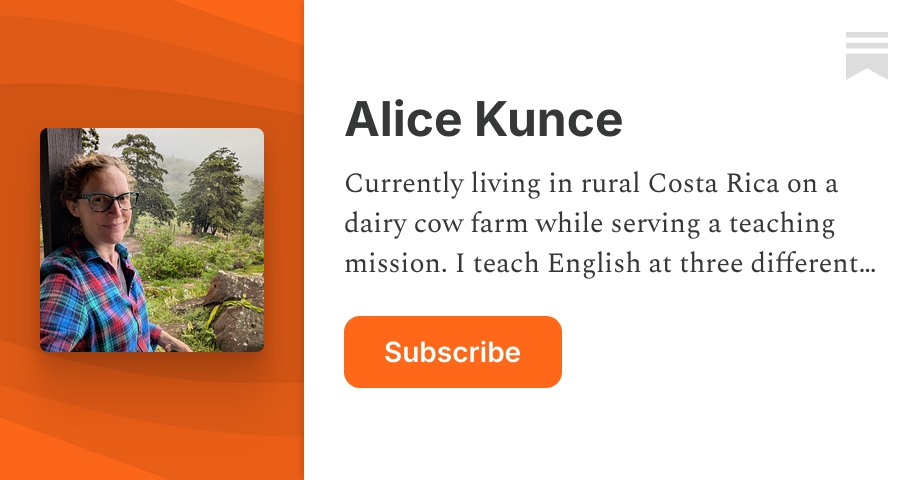 Sub Alice Alice Kunce | Substack