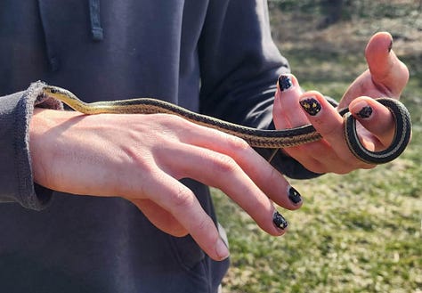 Snakes can be called beautiful instead of scary if we reframe the narrative to positive! Thank you for keeping them safe.