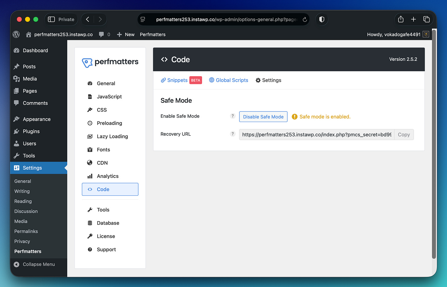 Perfmatters code snippets safe mode Perfmatters code snippets safe mode