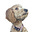 Ken O'Brien's avatar