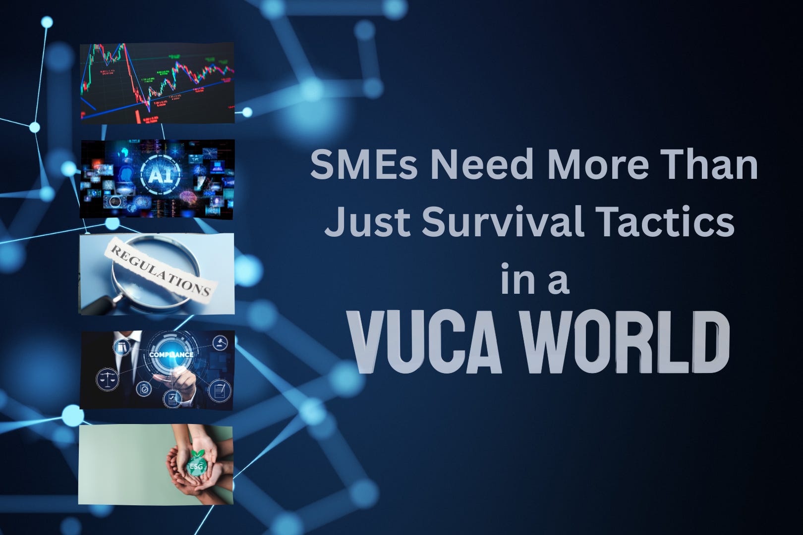 SMEs Need More Than Just Survival Tactics in a VUCA World
