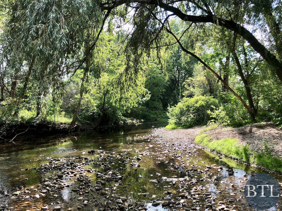 A shallow creek flows beneath leafy trees, with sunlight glinting on the water and smooth stones along the banks.