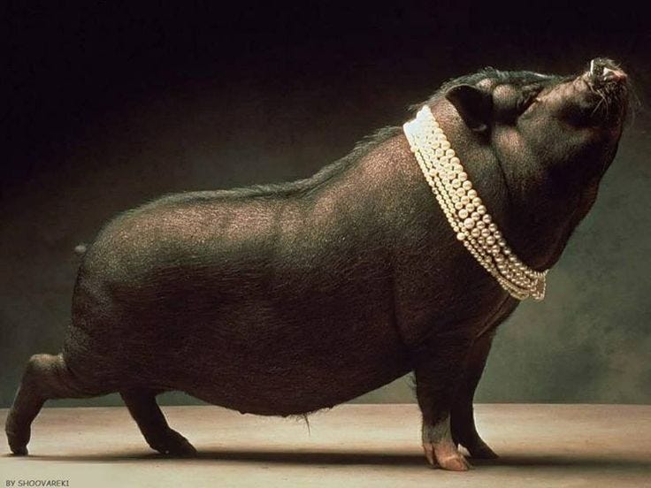 This may contain: an animal with chains on its neck standing in front of a sign that says beauty has a lot to do with character