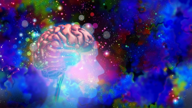 Duke Researchers Probe the Magic of Psychedelics as Medicine | Duke University School of Medicine Duke Researchers Probe the Magic of Psychedelics as Medicine | Duke University School of Medicine