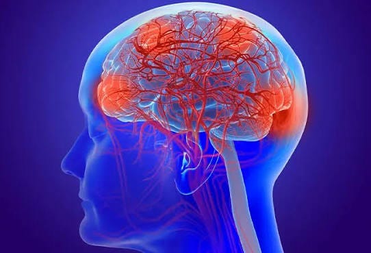 Brain Lesions: Causes, Symptoms, Types & Treatment Brain Lesions: Causes, Symptoms, Types & Treatment