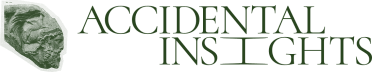 Accidental Insights