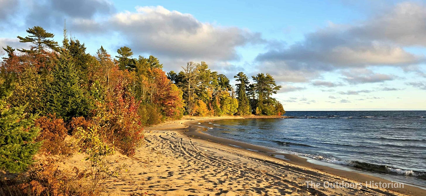 A sandy beach lined with colorful hardwoods and pine trees with small waves lapping at the shore and a blue sky with fluffy clouds in the background.