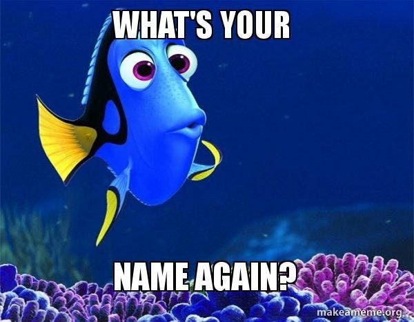 Pin by MONICA BRESSAN on meme in 2025 | Fish pet, Finding nemo, What is  your name