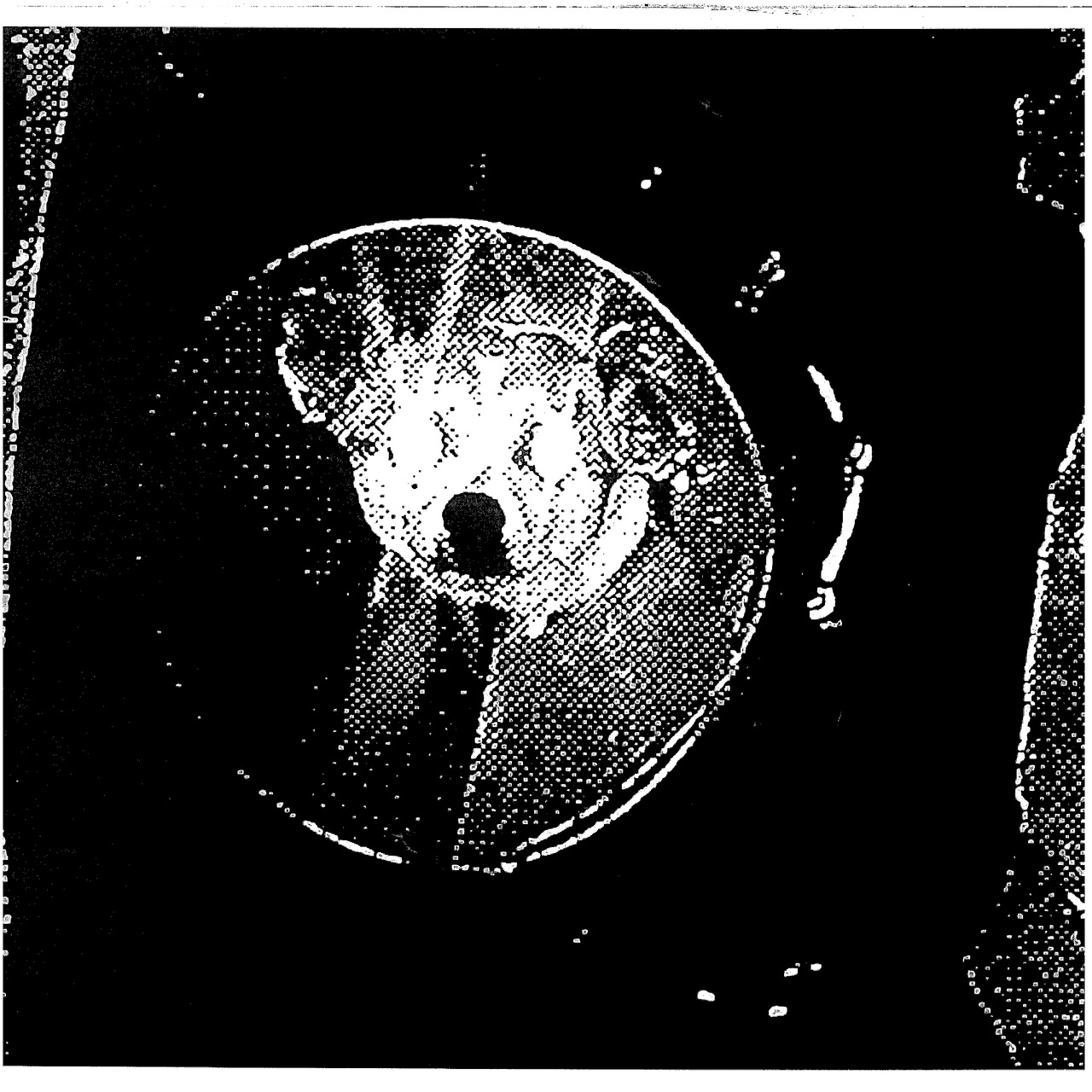 ````.   ''''    ,,,,,    |||||