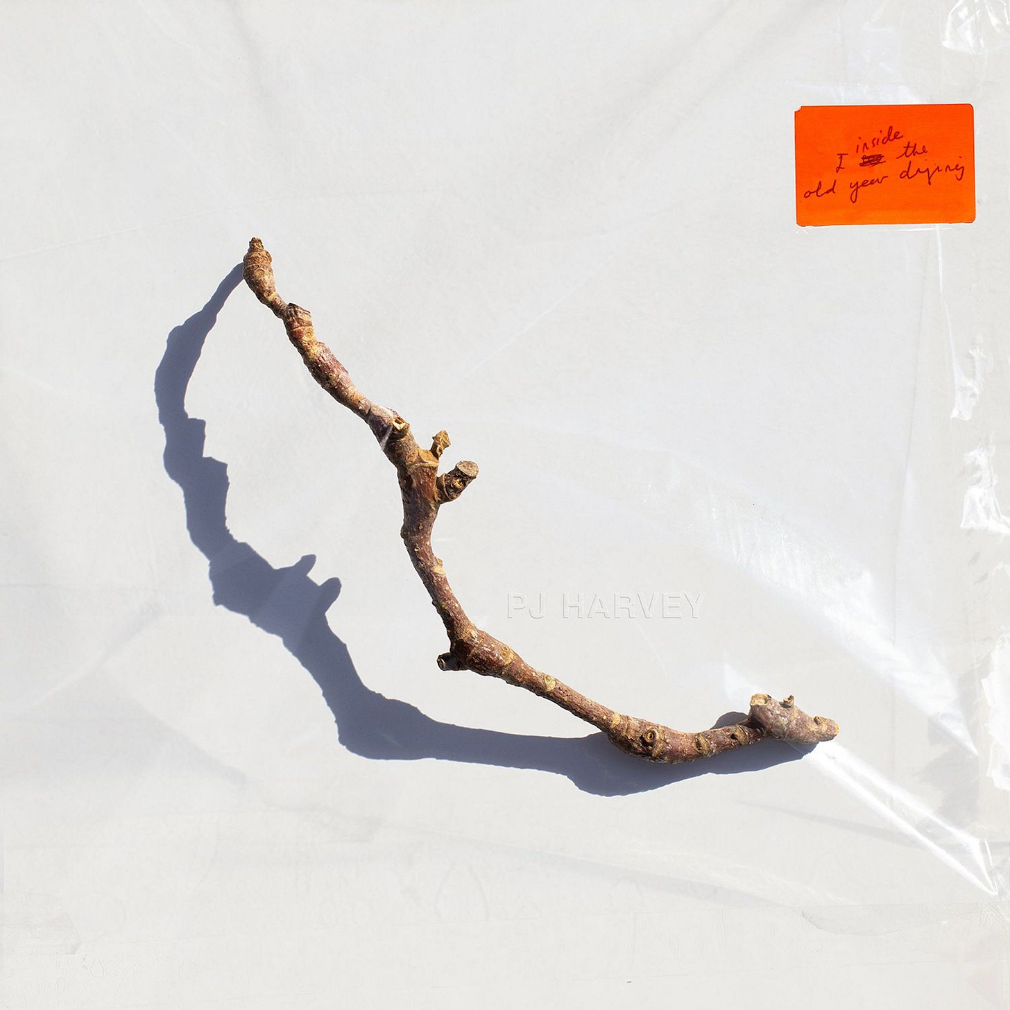 PJ Harvey announces new album with single, 'A Child's Question, August'
