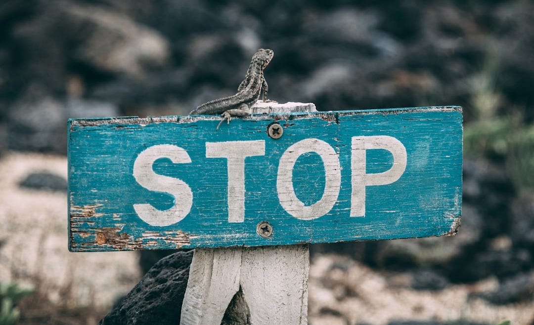 selective focus photography of stop road sign