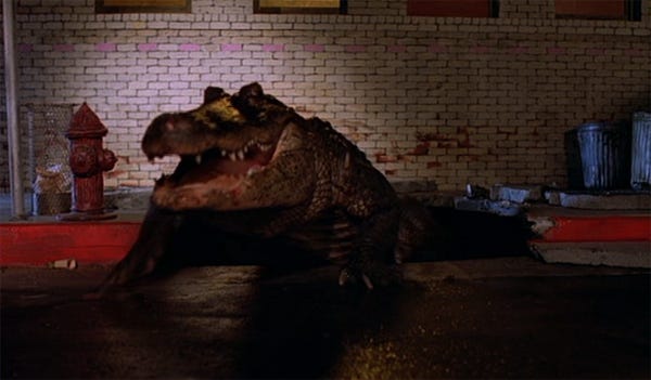 alligator alligator